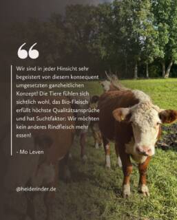 Viele denken, die Heiderinder wären ein mittelständisches Unternehmen mit 10–15 Angestellten.
Tatsächlich sind es genau zwei Pragmatiker: Karl und Alexander.💪🏻
Sie stemmen den Alltag:
Stall, Weiden, Wochenmarkt & Schlachtung mit Herzblut, Handarbeit, Durchhaltevermögen und auch mit körperlicher Erschöpfung.
Im Hintergrund helfen Familie und Freunde, wo sie können. Besonders dankbar sind wir für die stille, unermüdliche Unterstützung von Kerstin, Thomas, Erik, Danilo & Co.🥰
Umso schöner, wenn Besuch dann ehrlich sagt:
„Wir dachten, ihr seid ein großes Team – was ihr leistet, ist unfassbar.“
Die Heiderinder sind kein Konzern.
Sondern ein echtes Herzensprojekt.❤️
Mit echten Menschen. Und echter Arbeit.
#heiderinder #biofleisch #weideschlachtung #LandwirtschaftmitHerz #wochenmarkt #kundenfeedback #EhrlichArbeiten #handarbeit #RealitätAufDemLand #MitLeidenschaft #tierwohl #rinderzucht