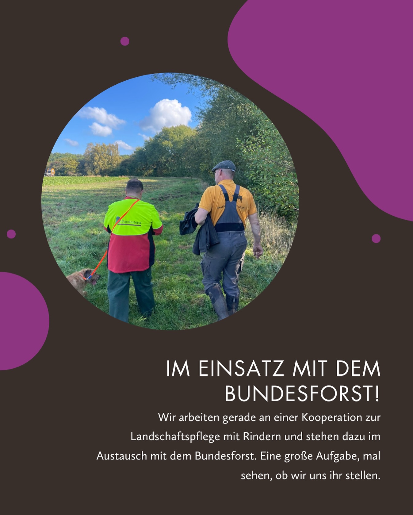 Nachhaltigkeit hat bei den Heiderindern höchste Priorität. 🌱🐄
Bei der Landschaftspflege setzen wir daher auf schonende Methoden, die Natur und Tiere gleichermaßen schützen. Gemeinsam mit dem Bundesforst wollen wir Wege finden, wie Rinder die Landschaft auf natürliche Weise pflegen können. Eine große Aufgabe, aber wir sind gespannt, wie viel wir gemeinsam erreichen können.💪🏻
#heideriner #nachhaltig #nachaltigelösungen #lüneburgerheide #bundesforst #flächenpflege #rinderhaltung #biofleisch #wochenmark #genuss #landwirtschaft