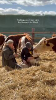 Am Sonntag noch unser Jüngster - mittlerweile nicht mehr. So schnell geht das aktuell bei uns! 🥹
Wir überlegen ihn Carl zu nennen. Was meint ihr? Passt der Name zu ihm? 🐄
#heiderinder #tierwohl #nachhaltigkeit #regional