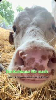 Damit wünschen wir euch einen wunderschönen Sonntag und einen entspannten Start in die neue Woche. 🤎🌿
Würdet ihr euch den Kuhkuss abholen? 🐮💋
#heiderinder #tierwohl #lüneburgerheide #regional #kuhkuss
